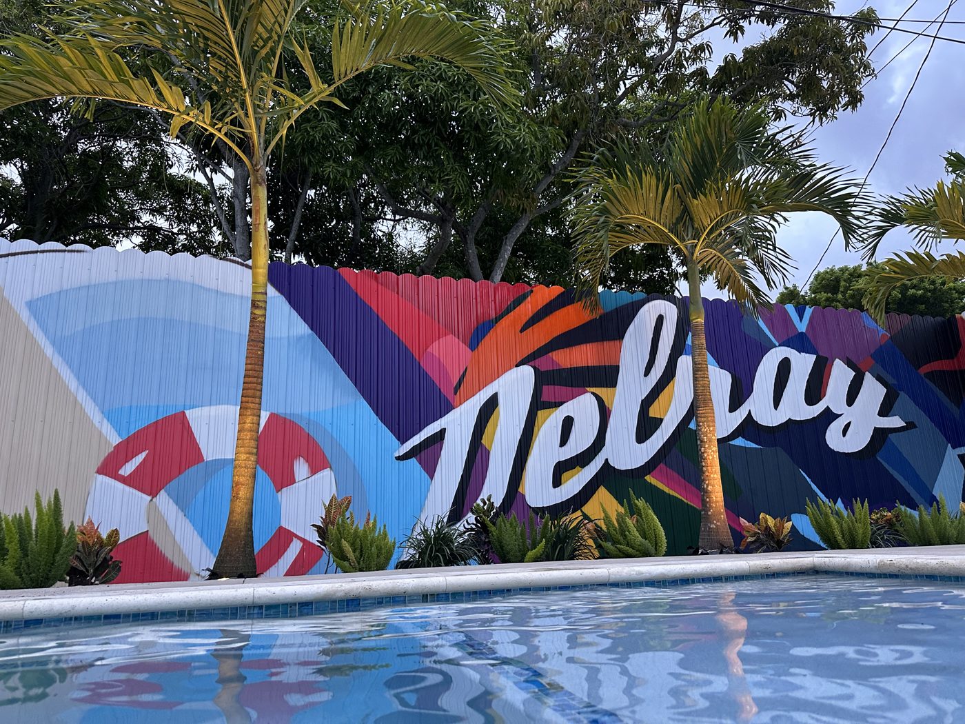 Delray script mural on the fence behind the pool